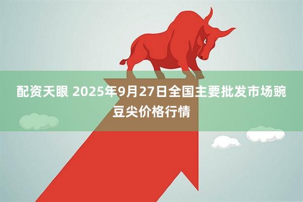 配资天眼 2025年9月27日全国主要批发市场豌豆尖价格行情